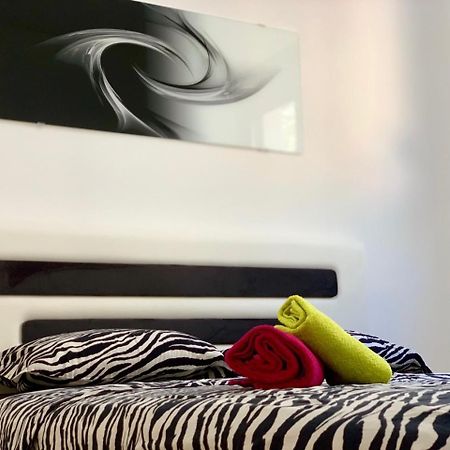 Absolute Apartman Kotor Dış mekan fotoğraf
