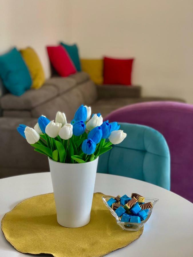 Absolute Apartman Kotor Dış mekan fotoğraf